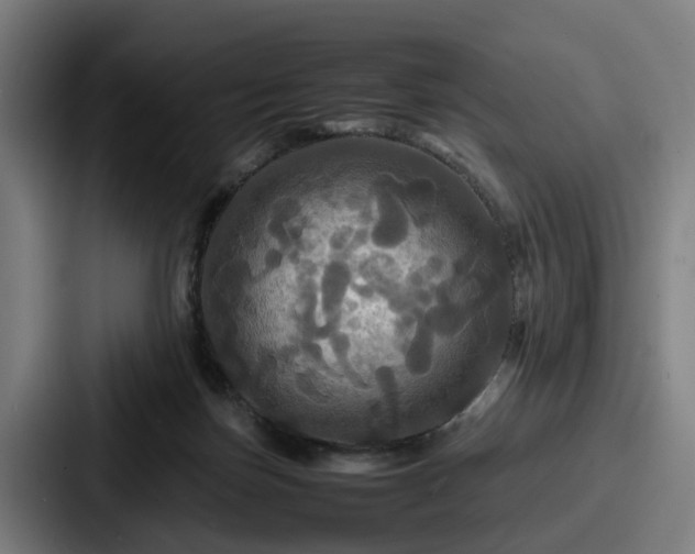 X0000087710171200705111428