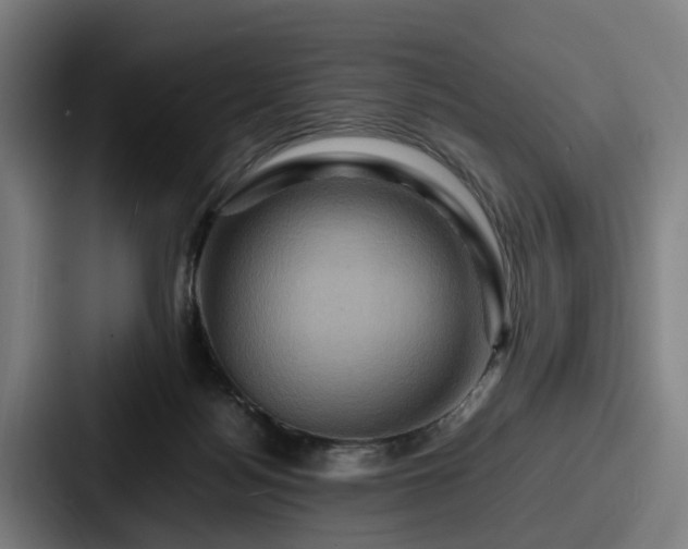 X0000087710172200705111428