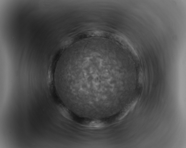 X0000087710173200705111428