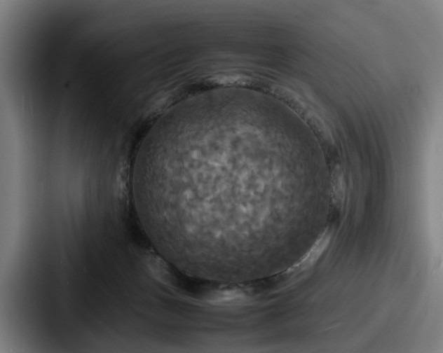 X0000087710175200705111428