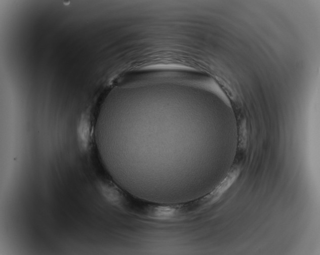 X0000087710176200705111428