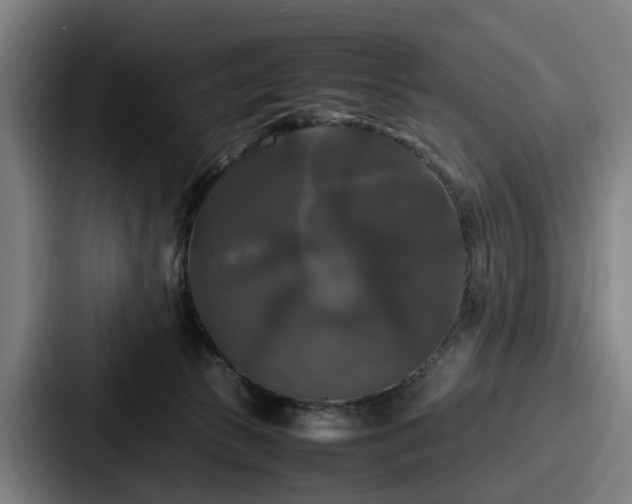 X0000087710177200705111428