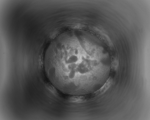 X0000087710179200705111428