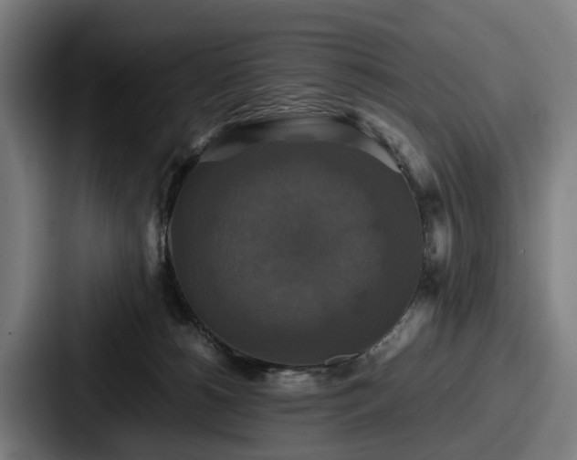X0000087710180200705111428