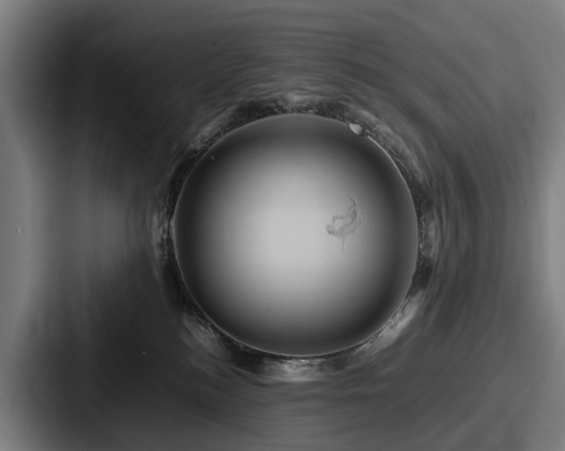 X0000087710184200705111428
