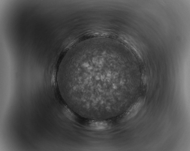 X0000087710185200705111428