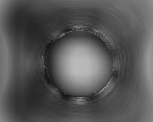 X0000087710187200705111428