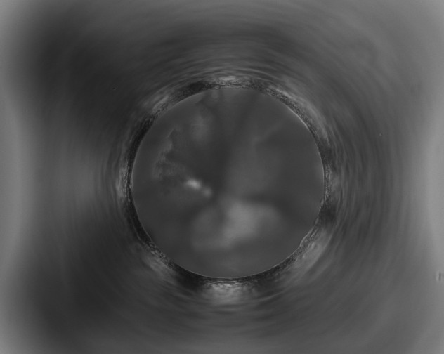 X0000087710189200705111428