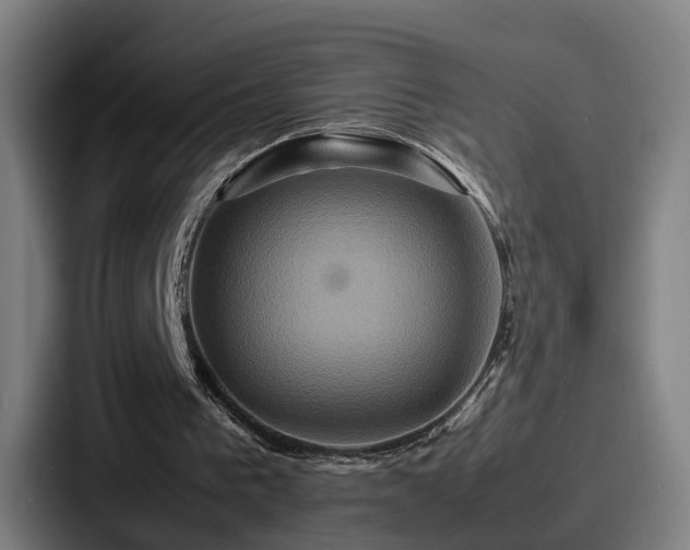 X0000087710193200705111427