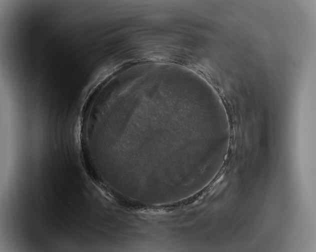 X0000087710194200705111427