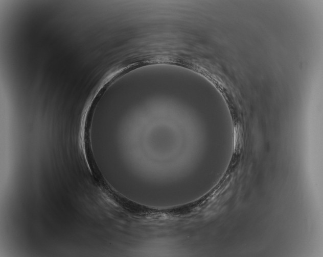 X0000087710195200705111427