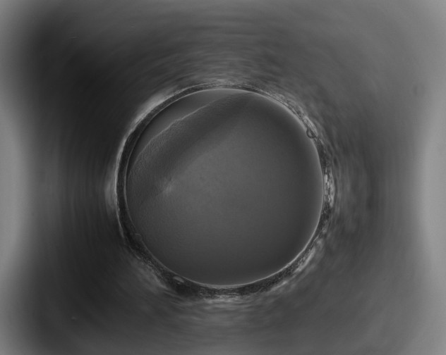 X0000087710196200705111427