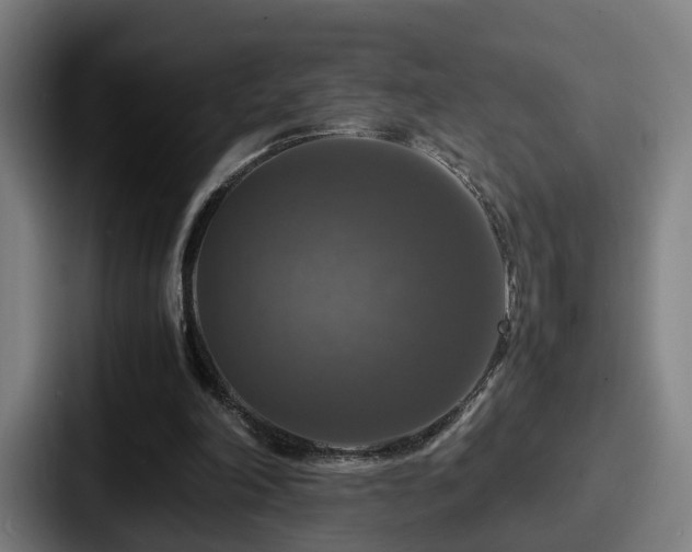 X0000087710198200705111427