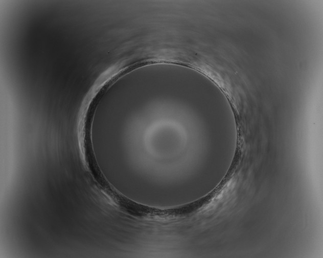 X0000087710199200705111427