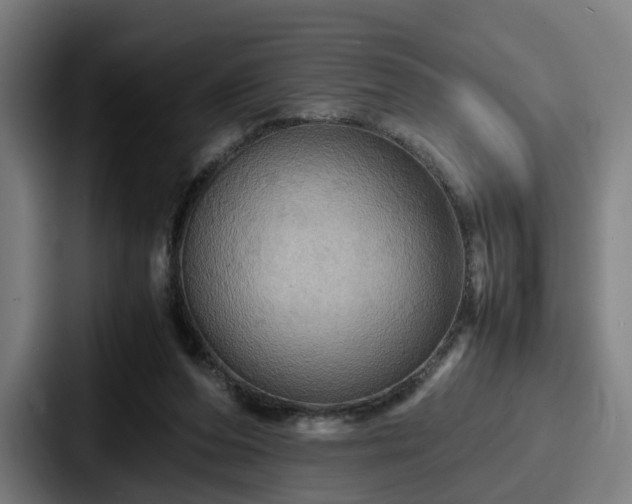 X0000087710208200705111427