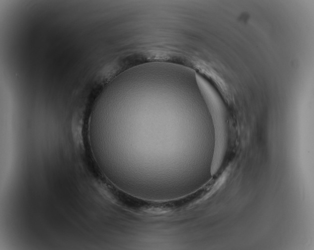 X0000087710209200705111427