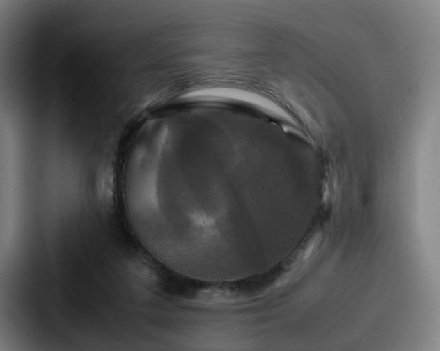 X0000087710211200705111427