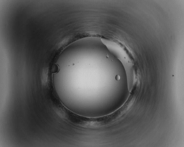 X0000087710212200705111427