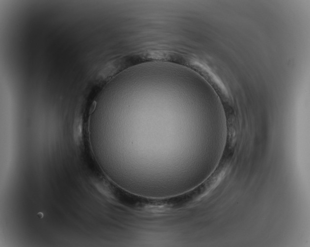 X0000087710213200705111427