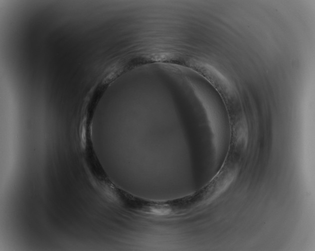 X0000087710214200705111427