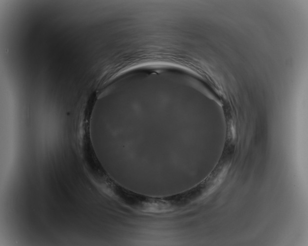 X0000087710215200705111427