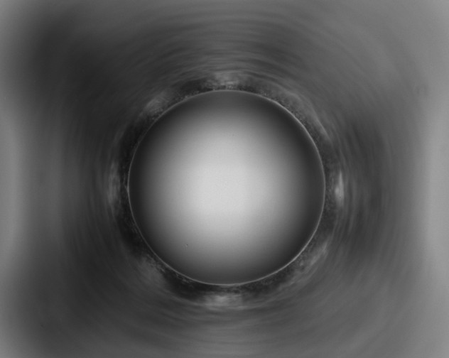 X0000087710220200705111427