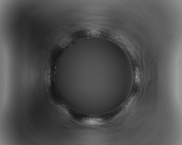 X0000087710223200705111427