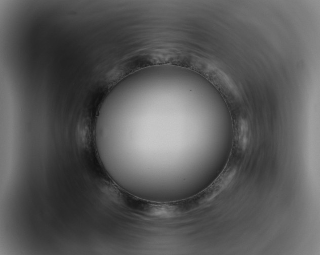 X0000087710226200705111427