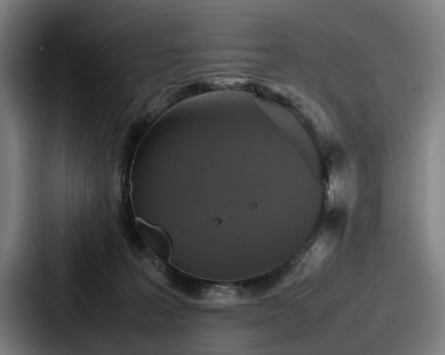 X0000087710227200705111427