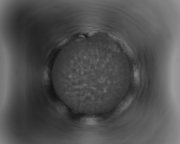 X0000087710228200705111427