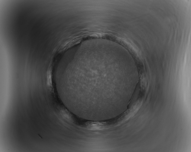 X0000087710229200705111427