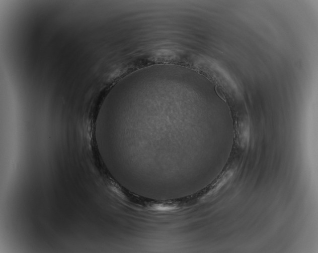 X0000087710232200705111427