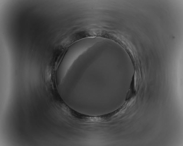 X0000087710233200705111427