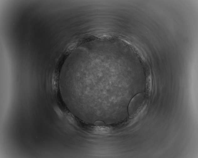 X0000087710234200705111427