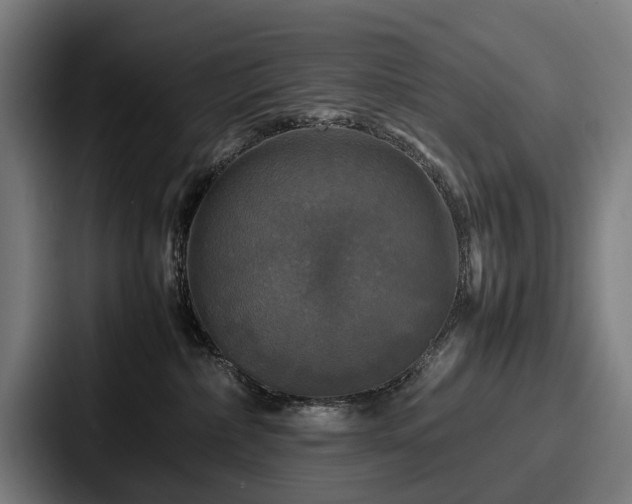 X0000087710236200705111427