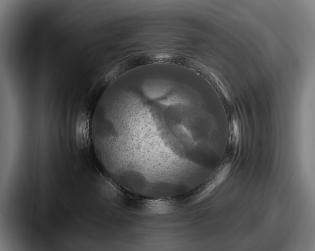 X0000087710238200705111427