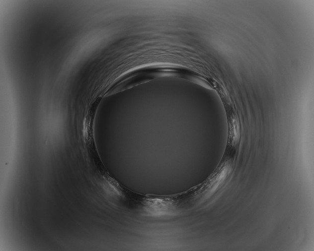 X0000087710239200705111427