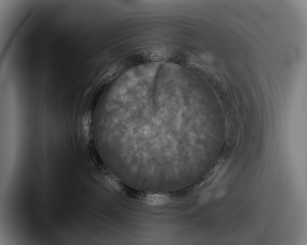 X0000087710240200705111427