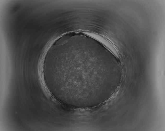 X0000087710241200705111426