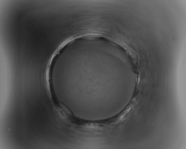 X0000087710244200705111426