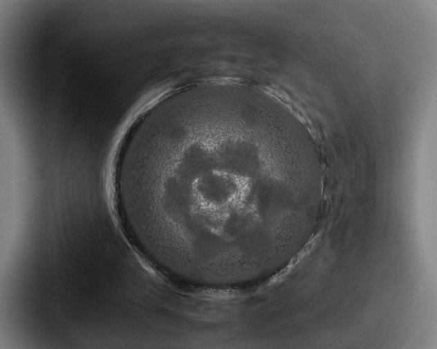X0000087710245200705111426