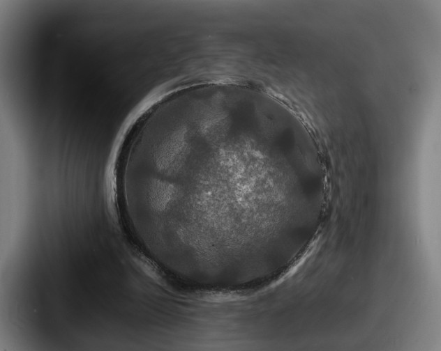 X0000087710246200705111426