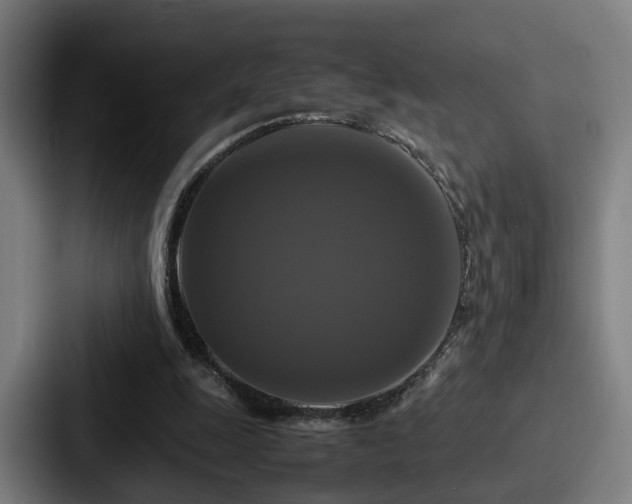X0000087710247200705111426