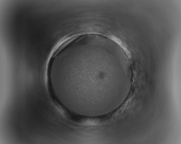 X0000087710248200705111426