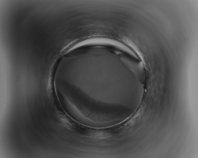 X0000087710249200705111426