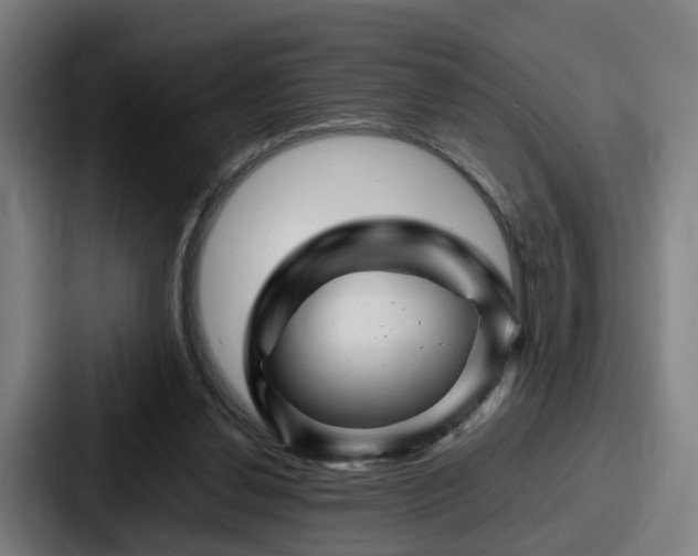 X0000087710252200705111426