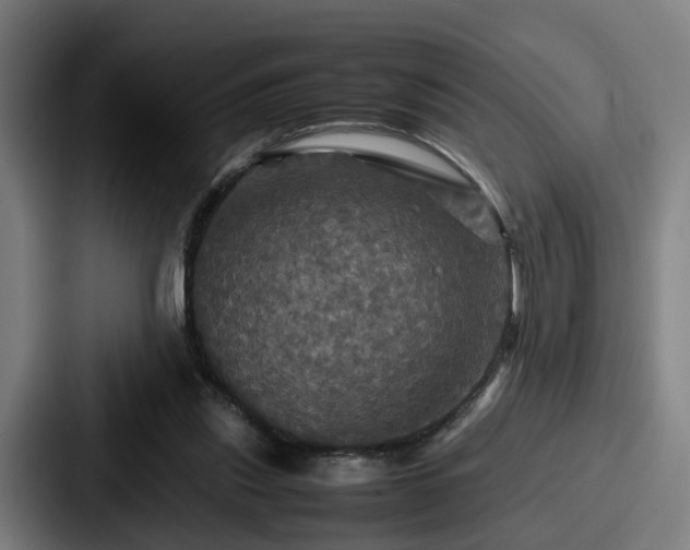 X0000087710253200705111426
