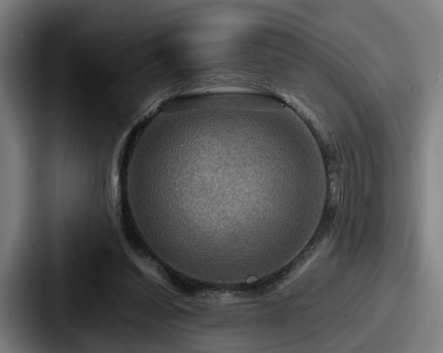 X0000087710254200705111426