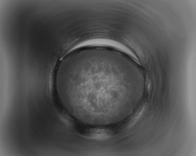 X0000087710255200705111426