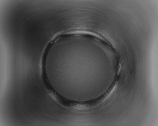 X0000087710256200705111426